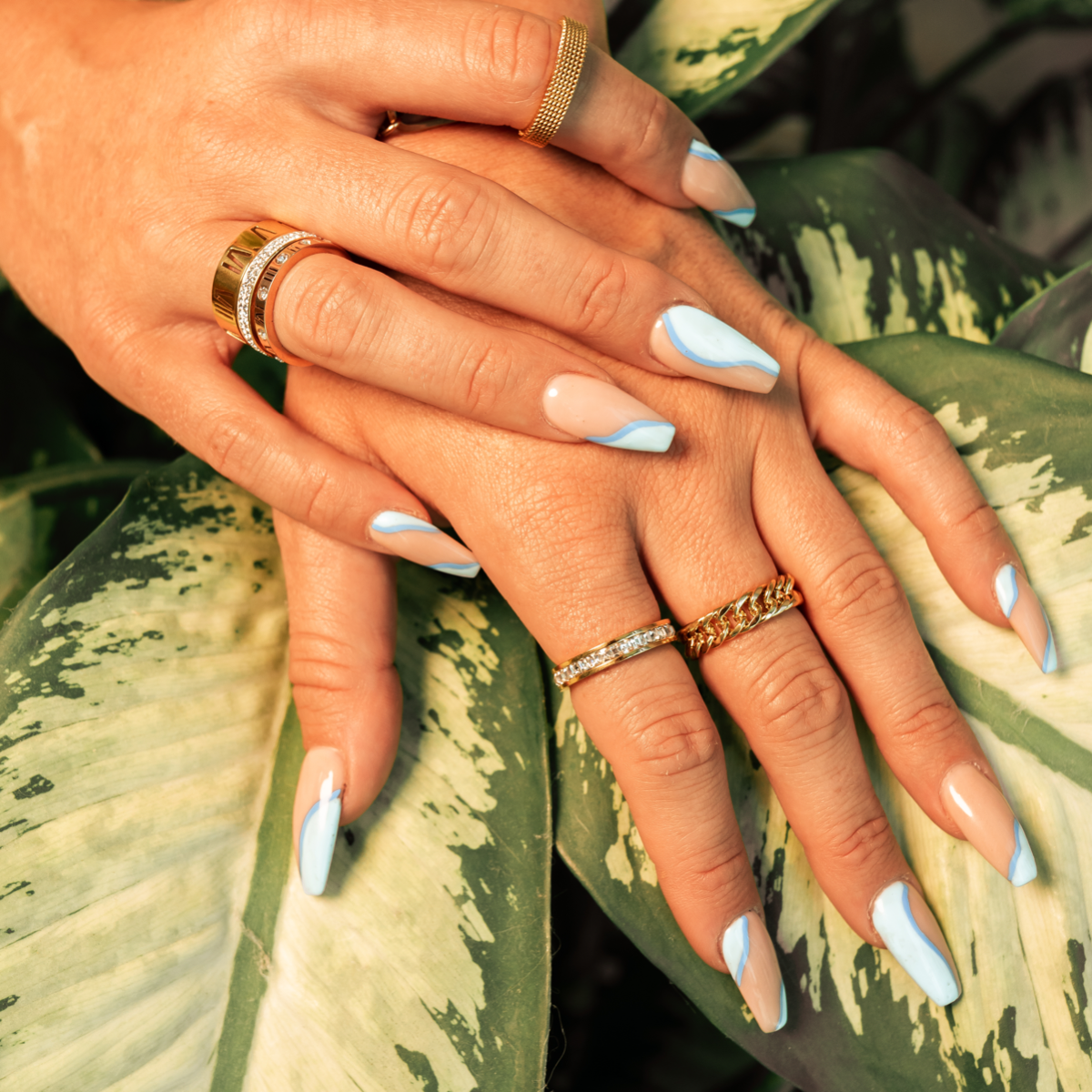 Anillo Monaco de Brillo